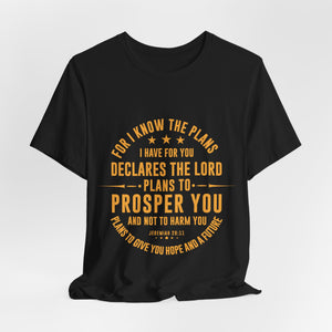 14CTS   Unisex Christian t shirt Jeremiah 29