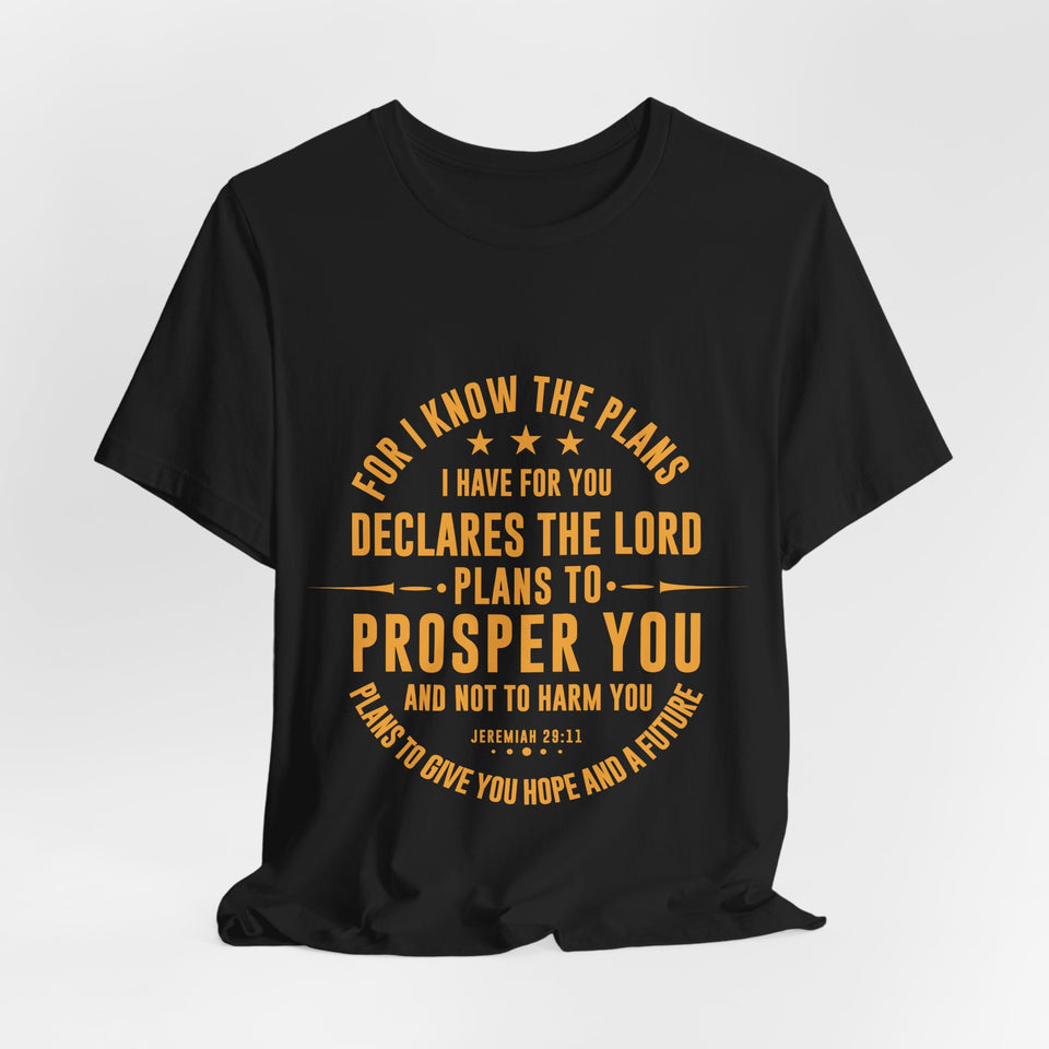 14CTS   Unisex Christian t shirt Jeremiah 29