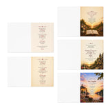 Macaw Wedding Anniversary Greeting Card Collection MGC4